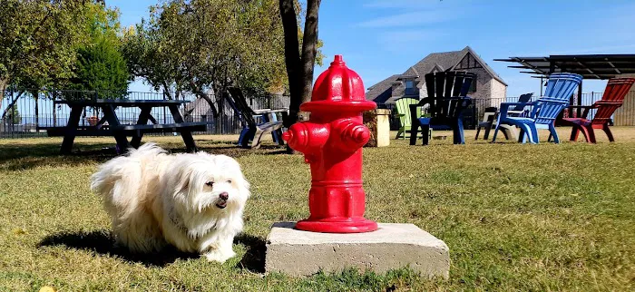 Union Park Bark Park 7
