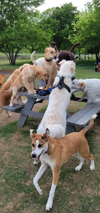 Union Park Bark Park 5