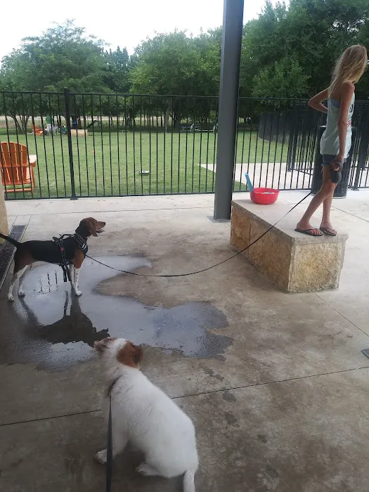 Union Park Bark Park 3