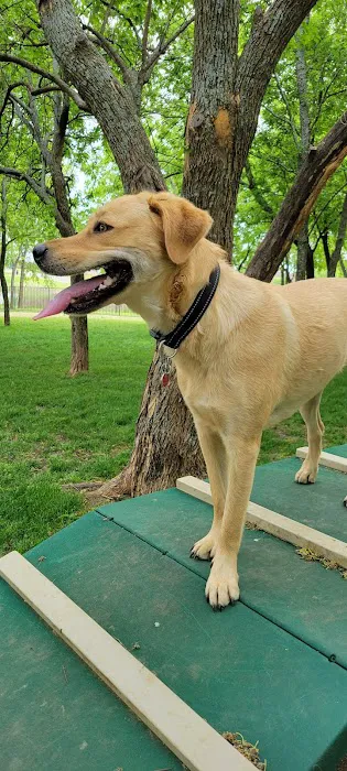Union Park Bark Park 2