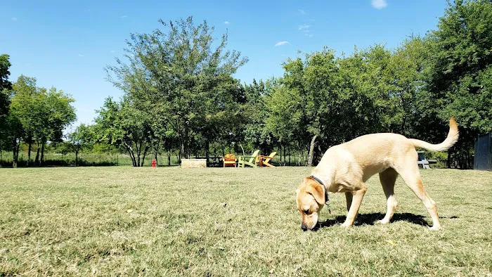 Union Park Bark Park 4
