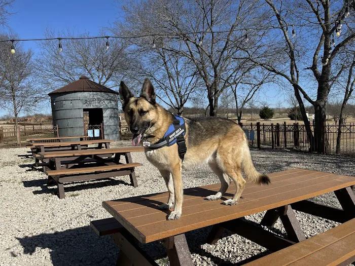 Canyon Falls Dog Park 5