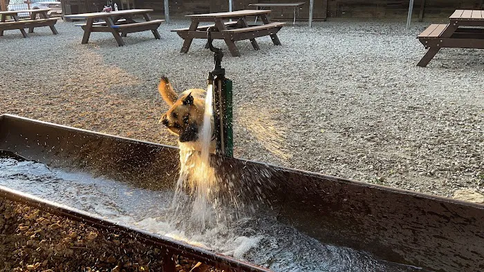 Canyon Falls Dog Park 7