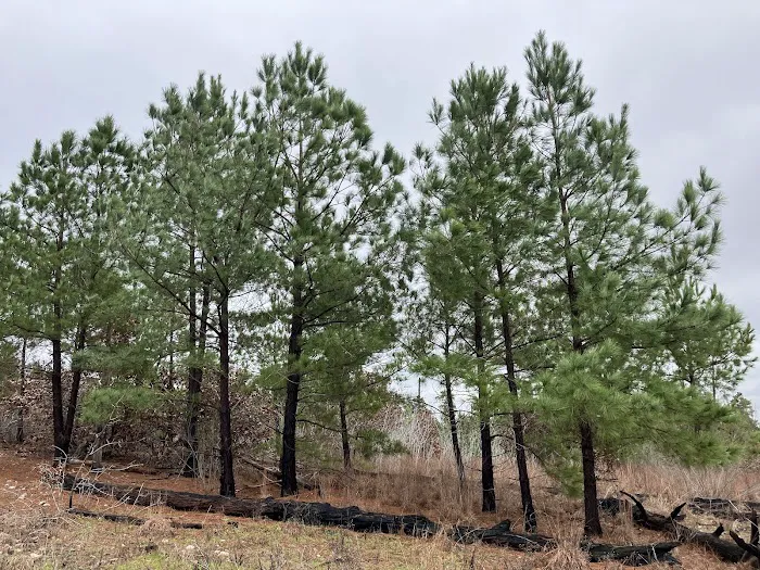 Canyon Falls Dog Park 2