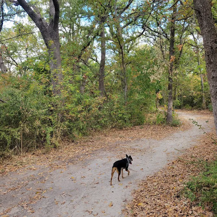 Wiggly Field Dog Park 2