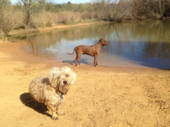 Wiggly Field Dog Park 8