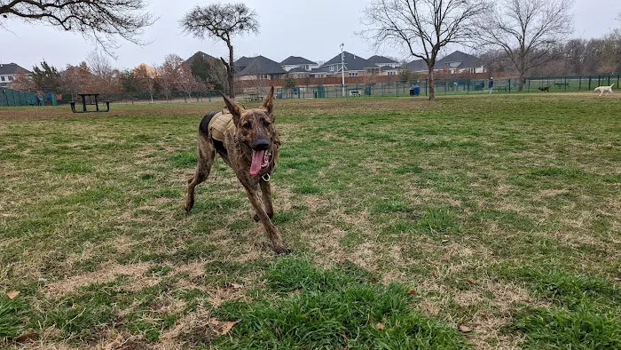 Wiggly Field Dog Park 5