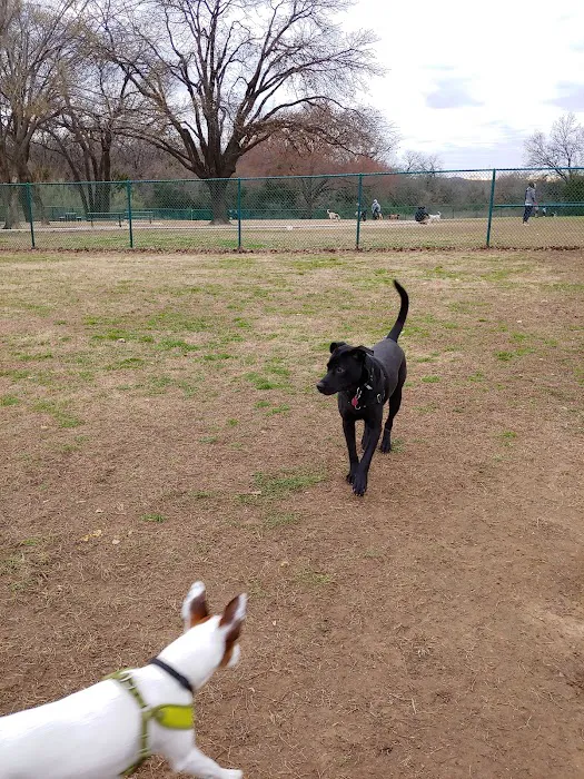 Wiggly Field Dog Park 7