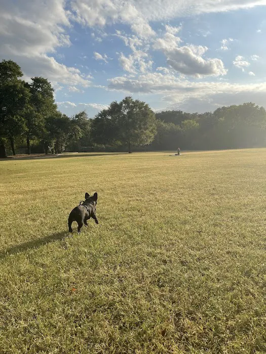 Wiggly Field Dog Park 6