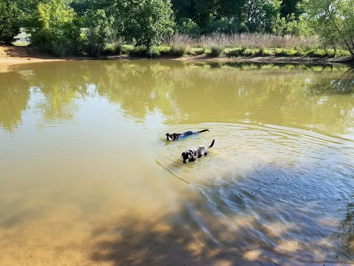 Wiggly Field Dog Park 4