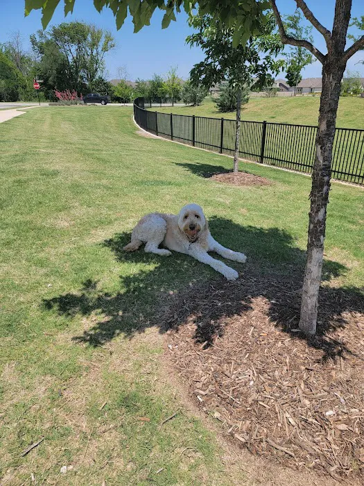 Old Joe dog Park 8