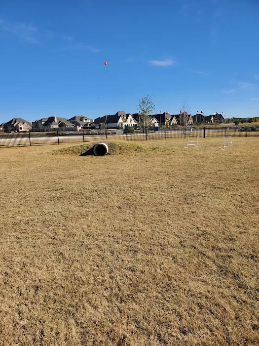 Old Joe dog Park 3