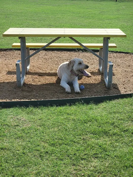 Old Joe dog Park 7