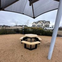 Old Joe dog Park ico
