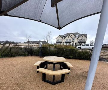 Old Joe dog Park