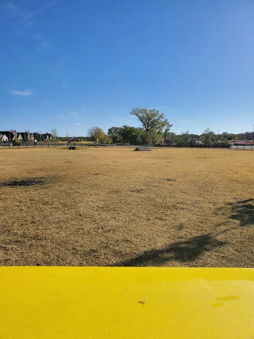 Old Joe dog Park 2
