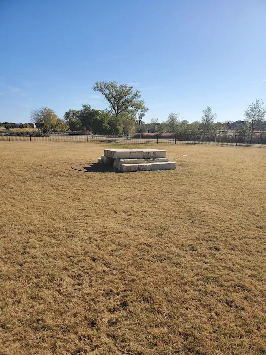 Old Joe dog Park 5