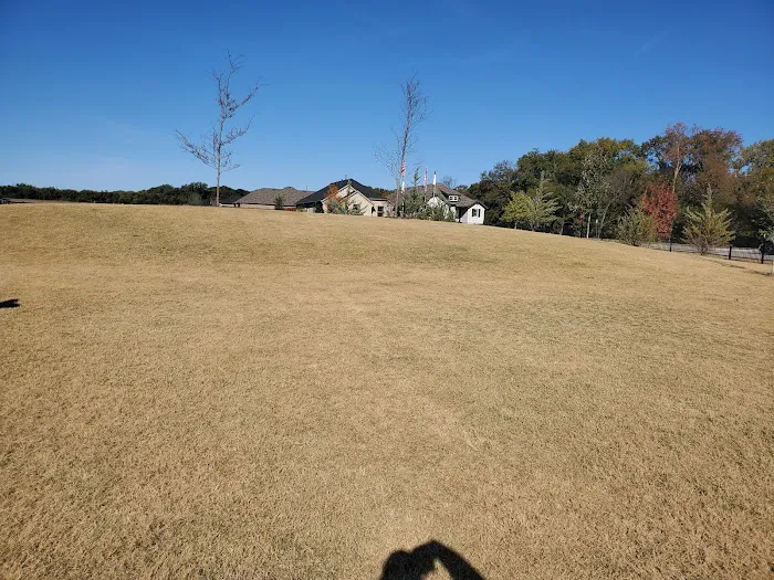 Old Joe dog Park 9
