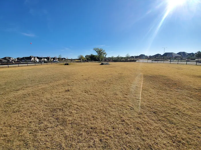 Old Joe dog Park 10
