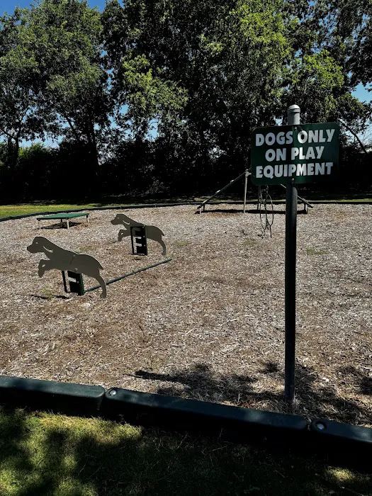Paw Park 6