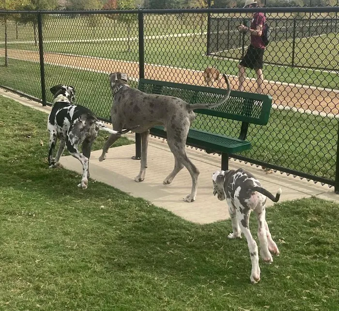 North Lakes Dog Park 4