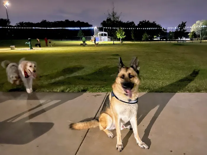 North Lakes Dog Park 3