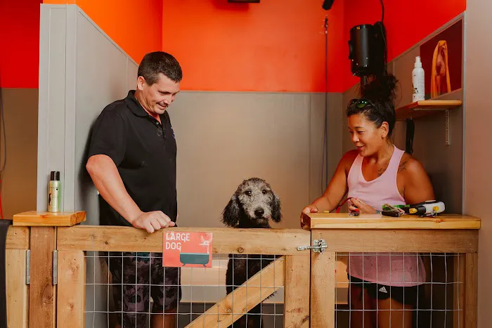 Omaha Dog Bar 4