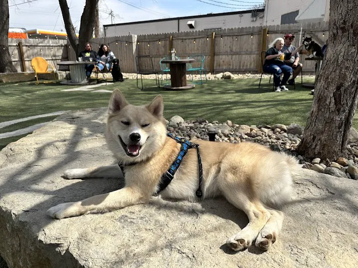 Omaha Dog Bar 8