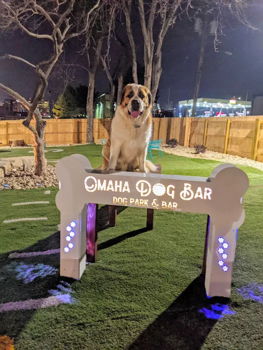 Omaha Dog Bar 6