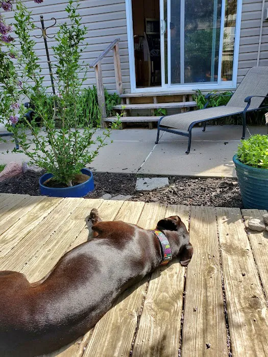 Omaha Dog Bar 10