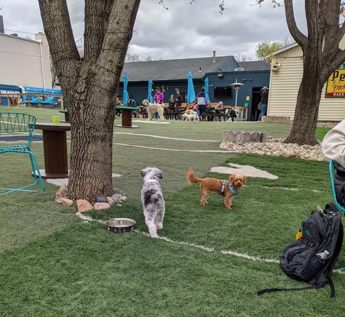 Omaha Dog Bar 9