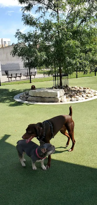Dewey Dog Park 10