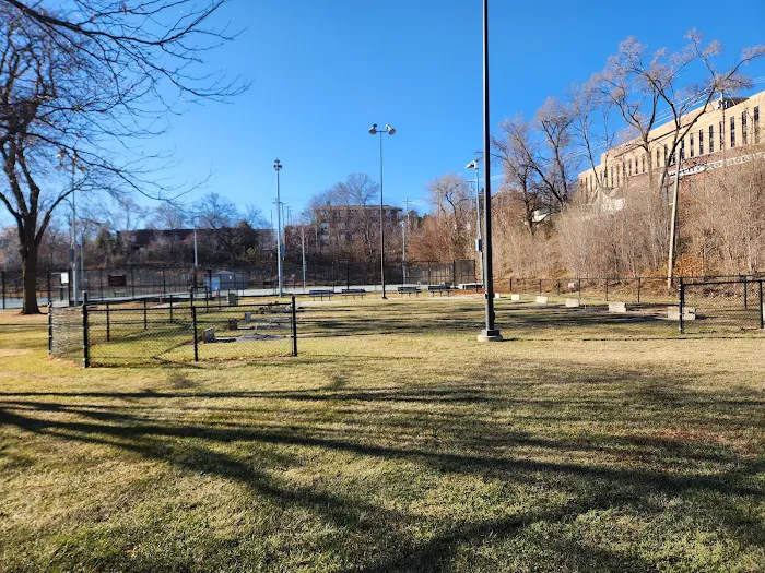 Dewey Dog Park 5