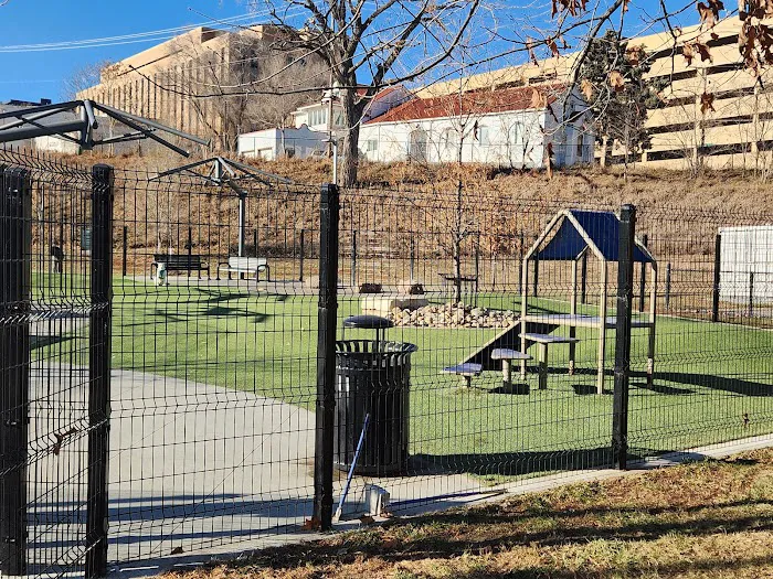 Dewey Dog Park 6