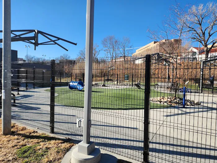 Dewey Dog Park 8