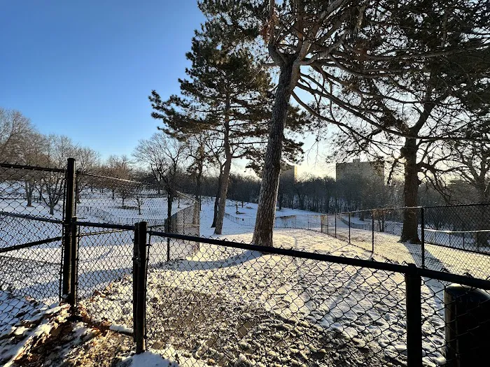 Hanscom Dog Park 10