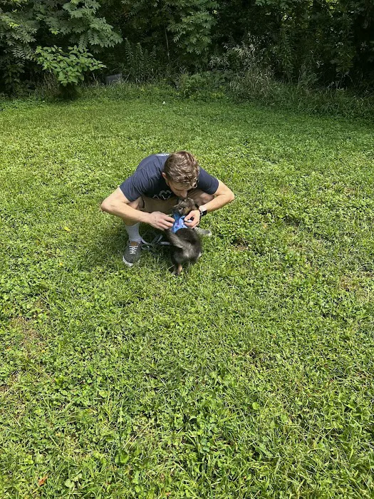 Hanscom Dog Park 2