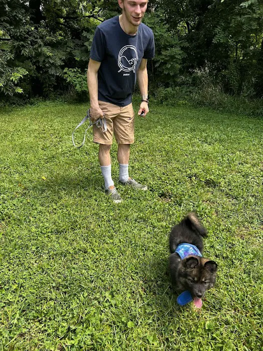 Hanscom Dog Park 3