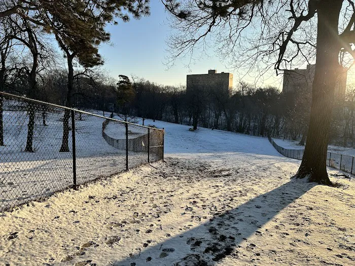 Hanscom Dog Park 9