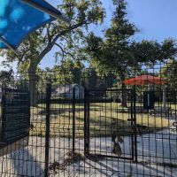 Miller Park Dog Park ico