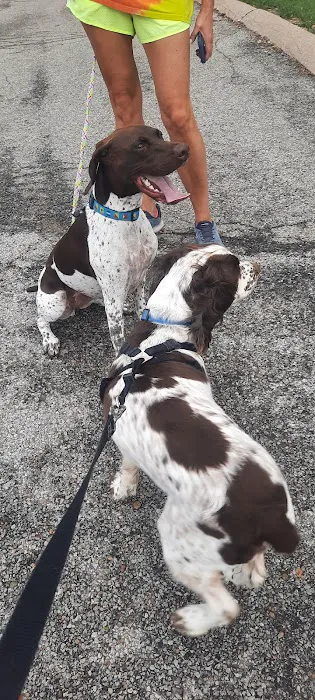 Aksarben Dog Park Omaha 3