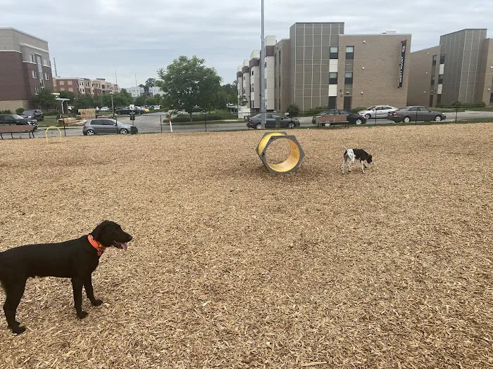 Aksarben Dog Park Omaha 9
