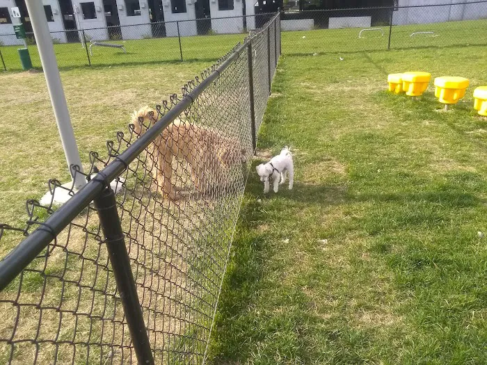 Aksarben Dog Park Omaha 7