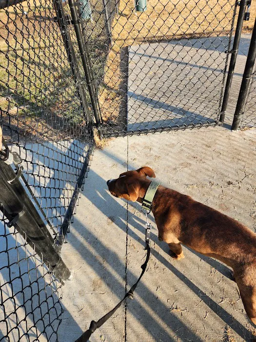 Beardmore Freedom Dog Park 1