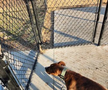 Beardmore Freedom Dog Park