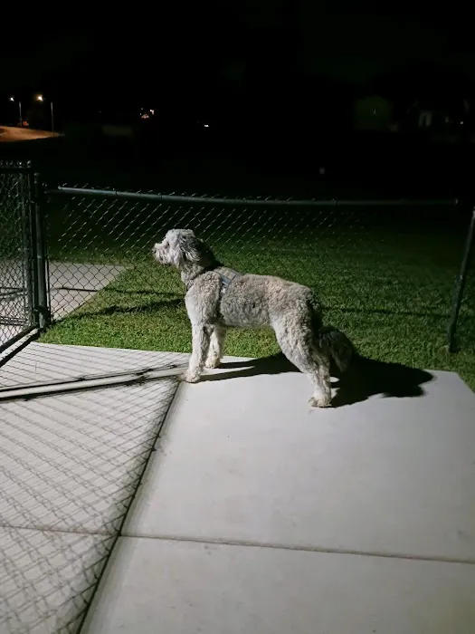 Beardmore Freedom Dog Park 3