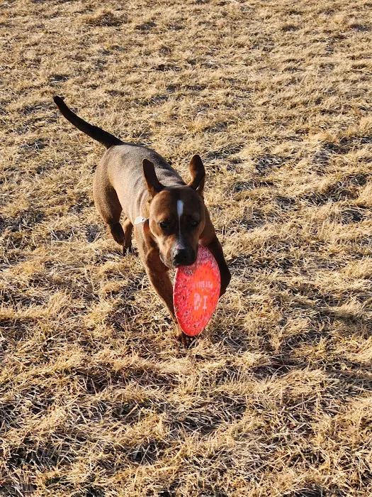 Beardmore Freedom Dog Park 7
