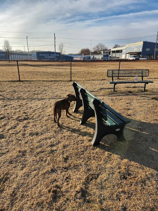 Beardmore Freedom Dog Park 2