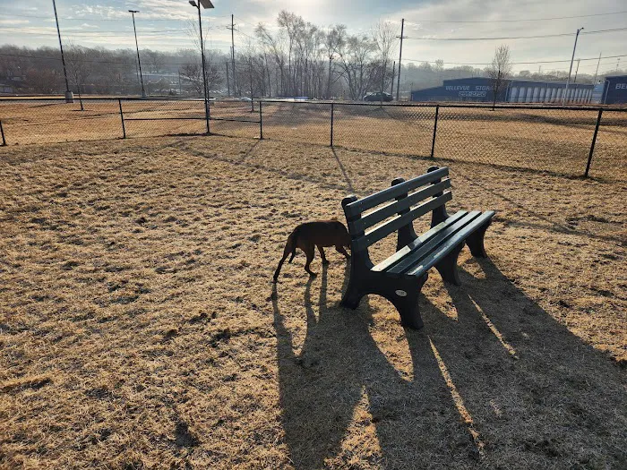 Beardmore Freedom Dog Park 9