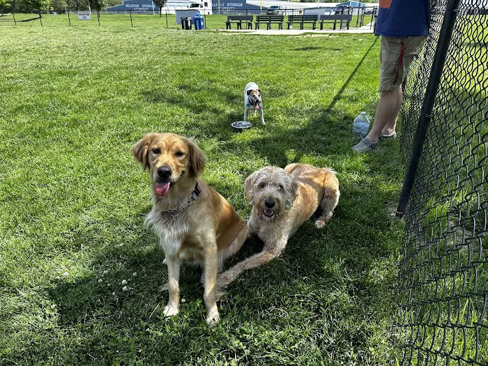 Beardmore Freedom Dog Park 10